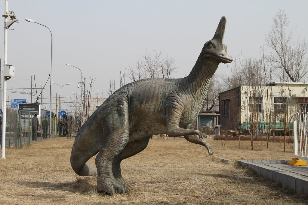 Corythosaurus - The Helmet Lizard (Image Credits: Flickr)