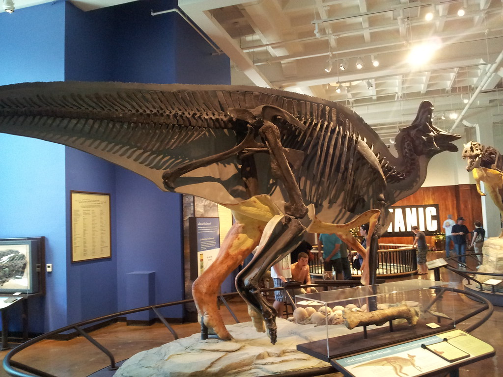 Lambeosaurus - The Hatchet-Headed Giant (Image Credits: Flickr)