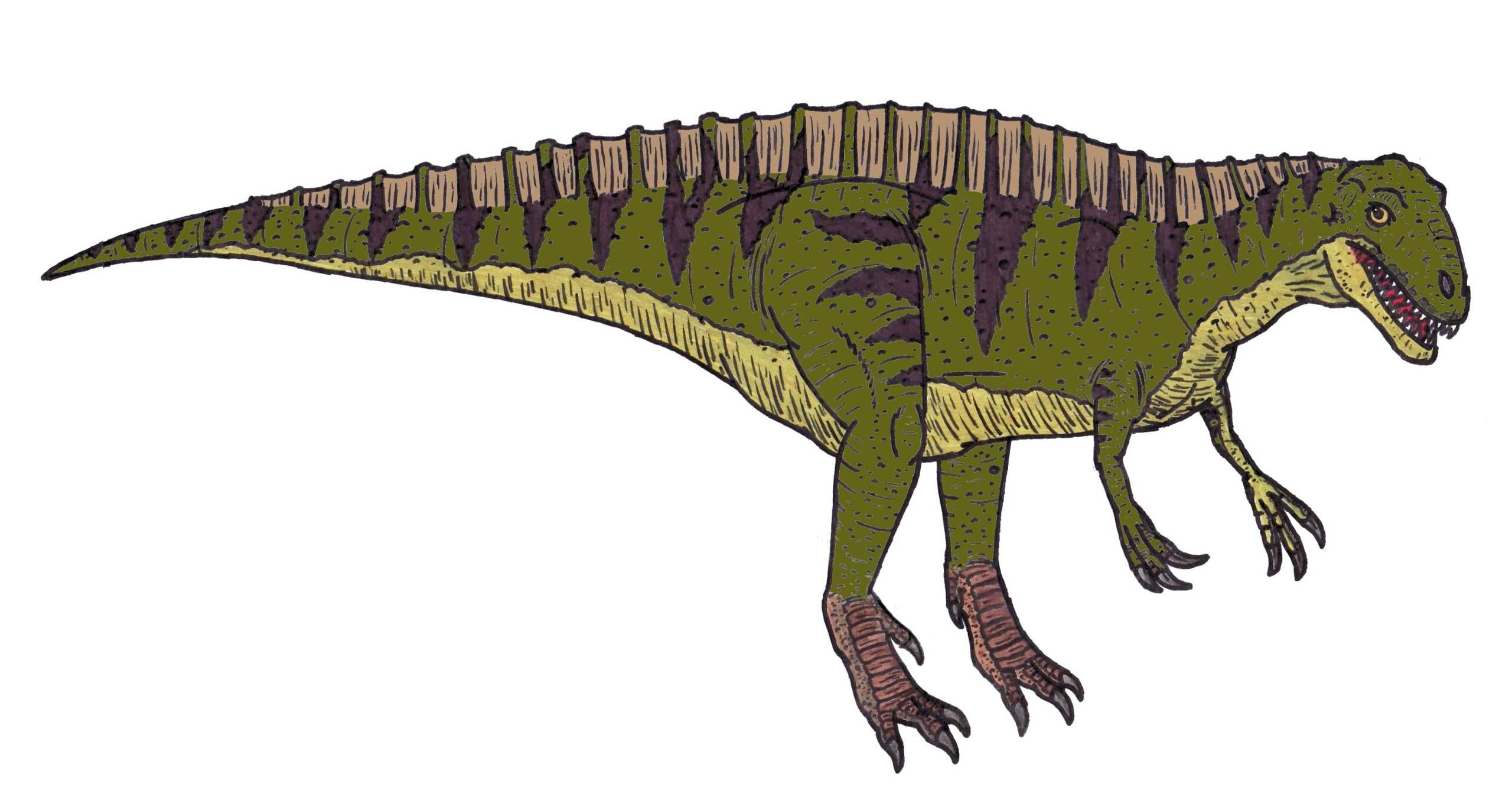 Acrocanthosaurus - The High-Spined Hunter (Image Credits: Wikimedia)