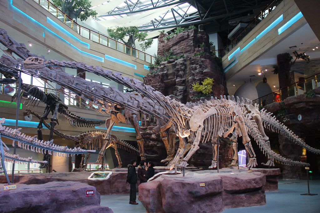 The Titanosaur at New York's American Museum of Natural History (Image Credits: Flickr)