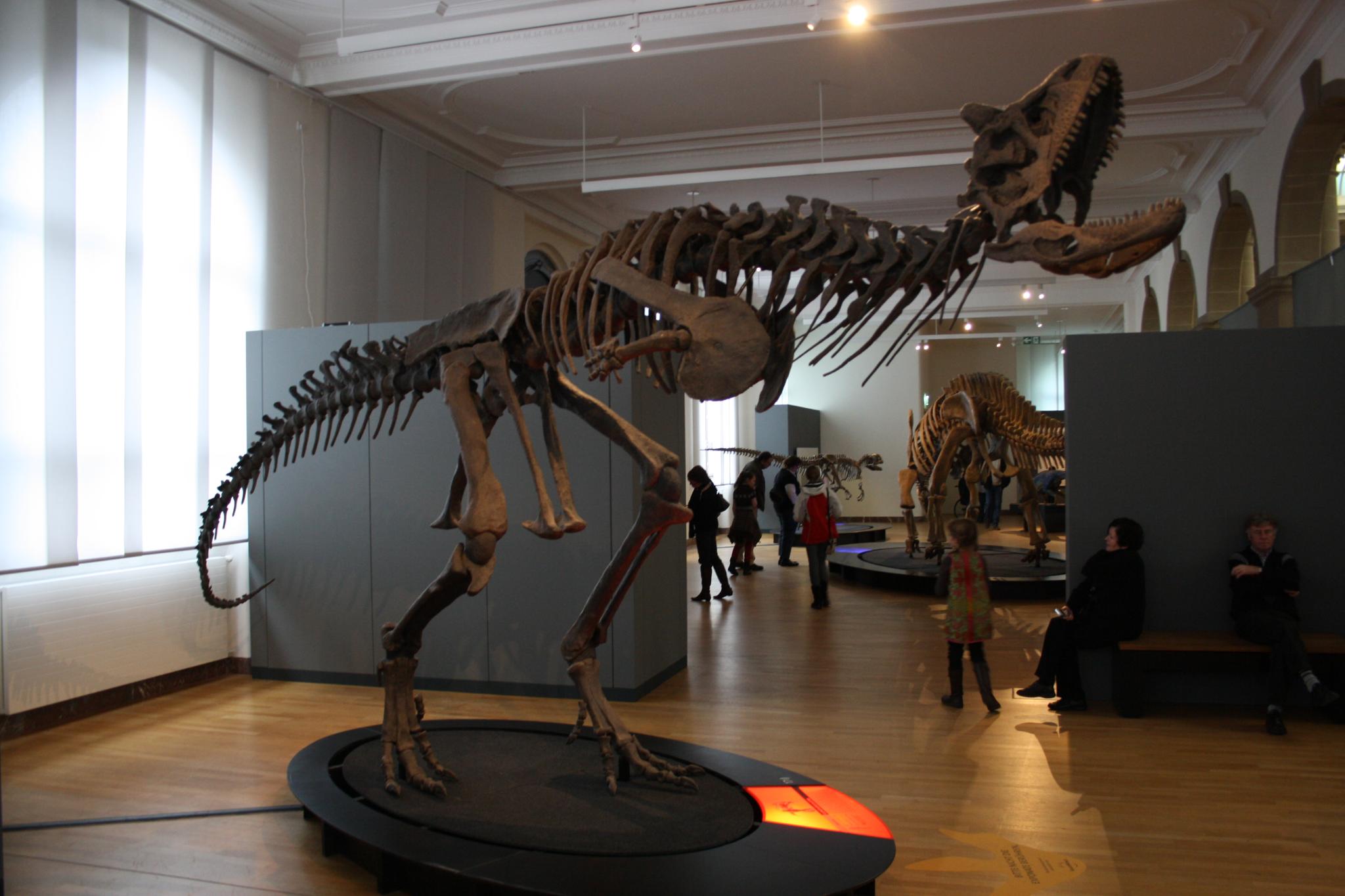 Carnotaurus at Los Angeles County Museum (Image Credits: Wikimedia)