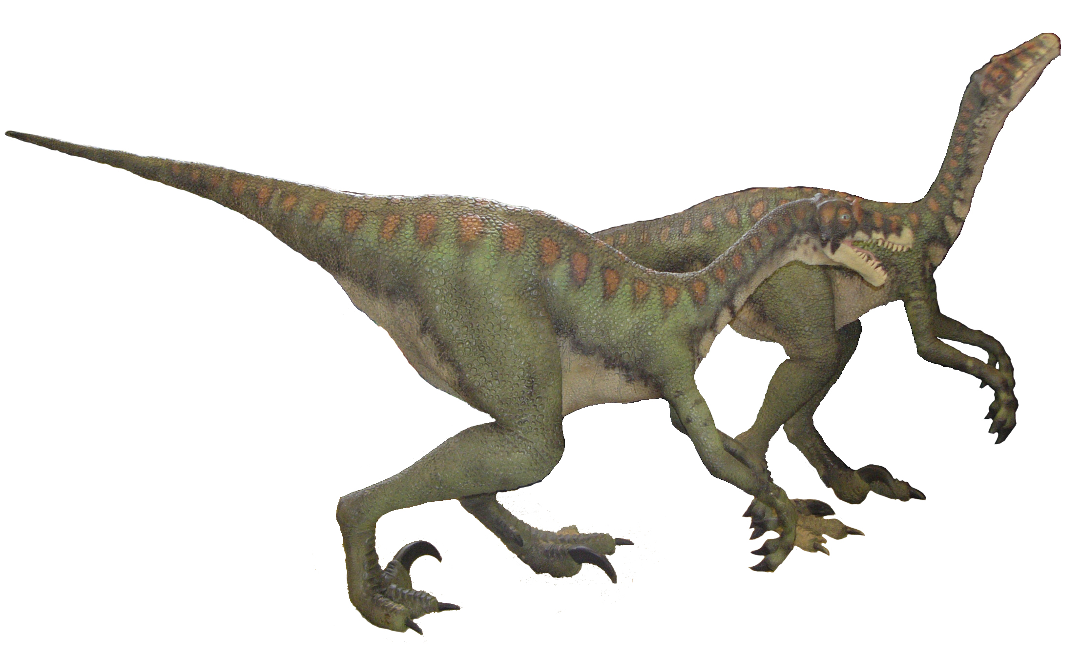 Deinonychus - The Silver Medal Winner (Image Credits: Wikimedia)