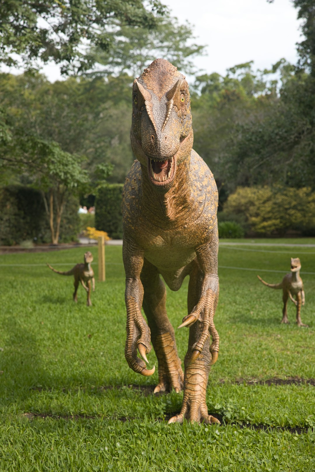 Velociraptor - The Hollywood Star With Real Brains (Image Credits: Unsplash)