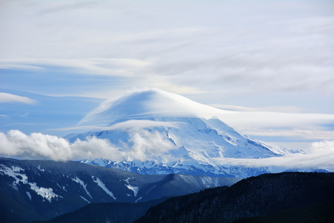 The Great Dying: Siberian Traps Set the Stage (Image Credits: Unsplash)