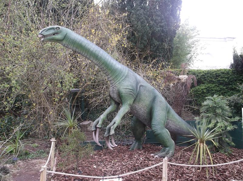 The Scythe Lizard That Changed Everything (Image Credits: Wikimedia)