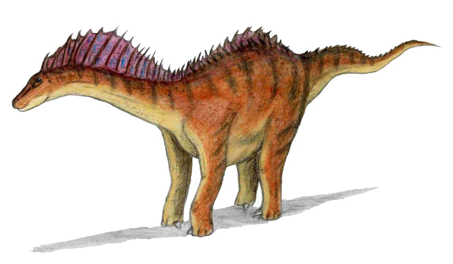 The Punk Rock Dinosaur With a Mohawk (Image Credits: Wikimedia)