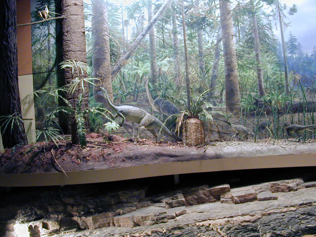 Connecticut: Dinosaur State Park (Image Credits: Flickr)