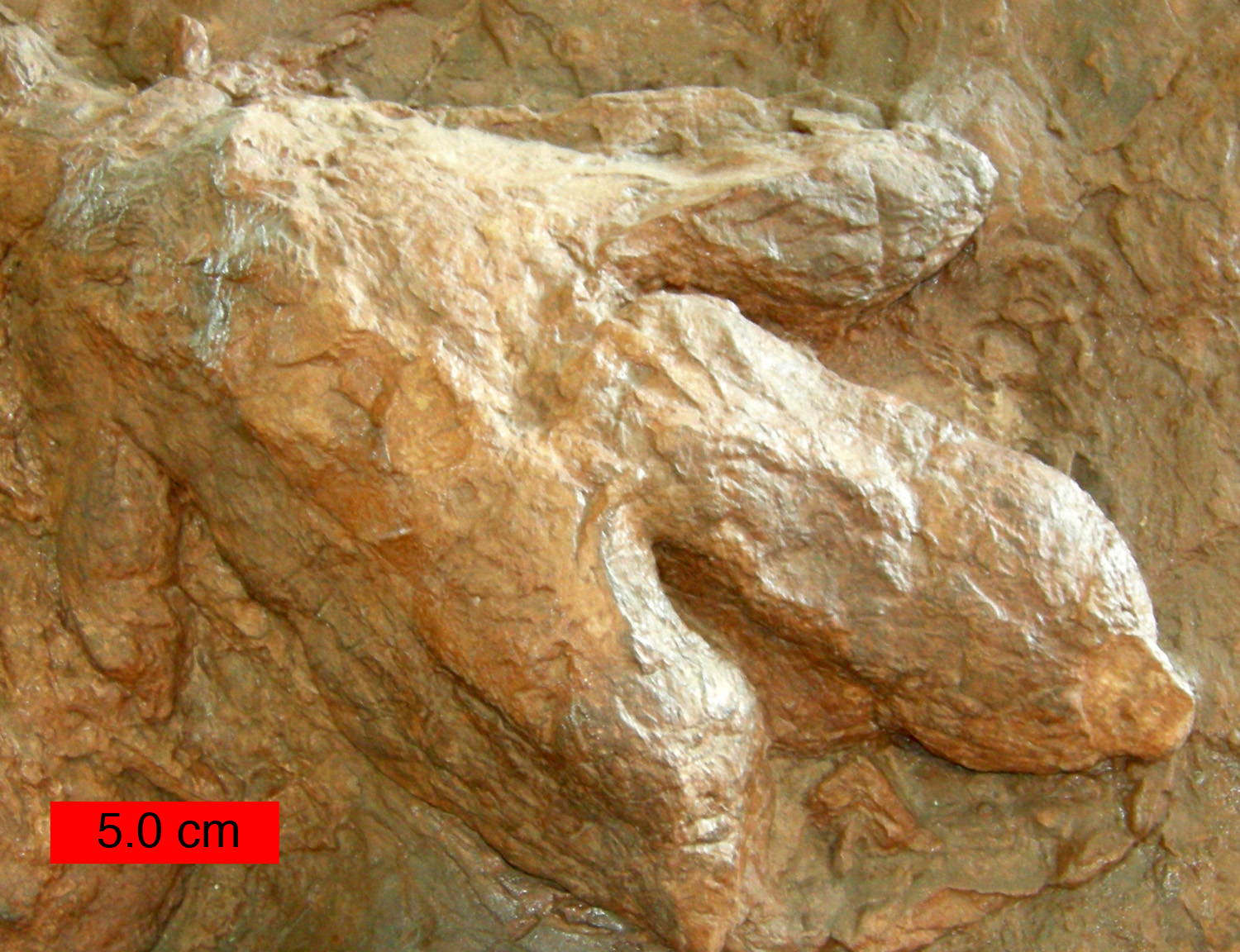 Utah: St. George Dinosaur Discovery Site (Image Credits: Wikimedia)