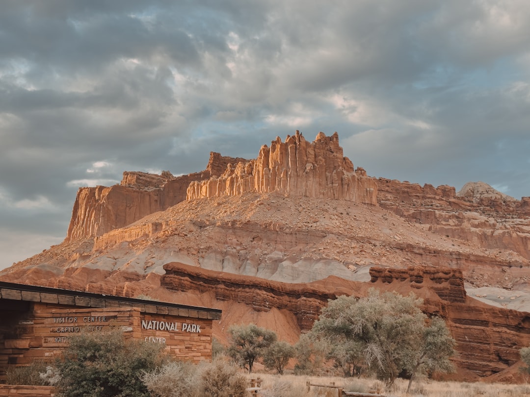 Utah: Red Cliffs Dinosaur Track Site (Image Credits: Unsplash)