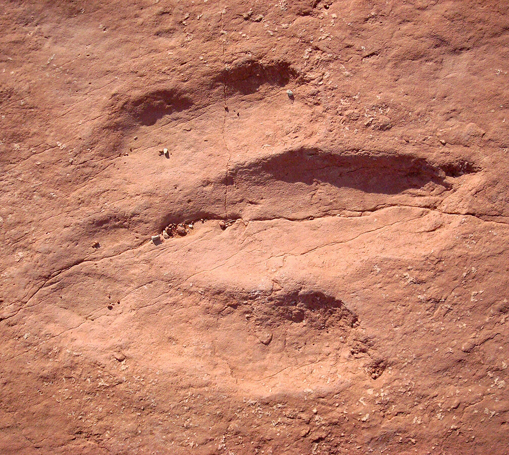 Utah: Red Fleet State Park (Image Credits: Flickr)