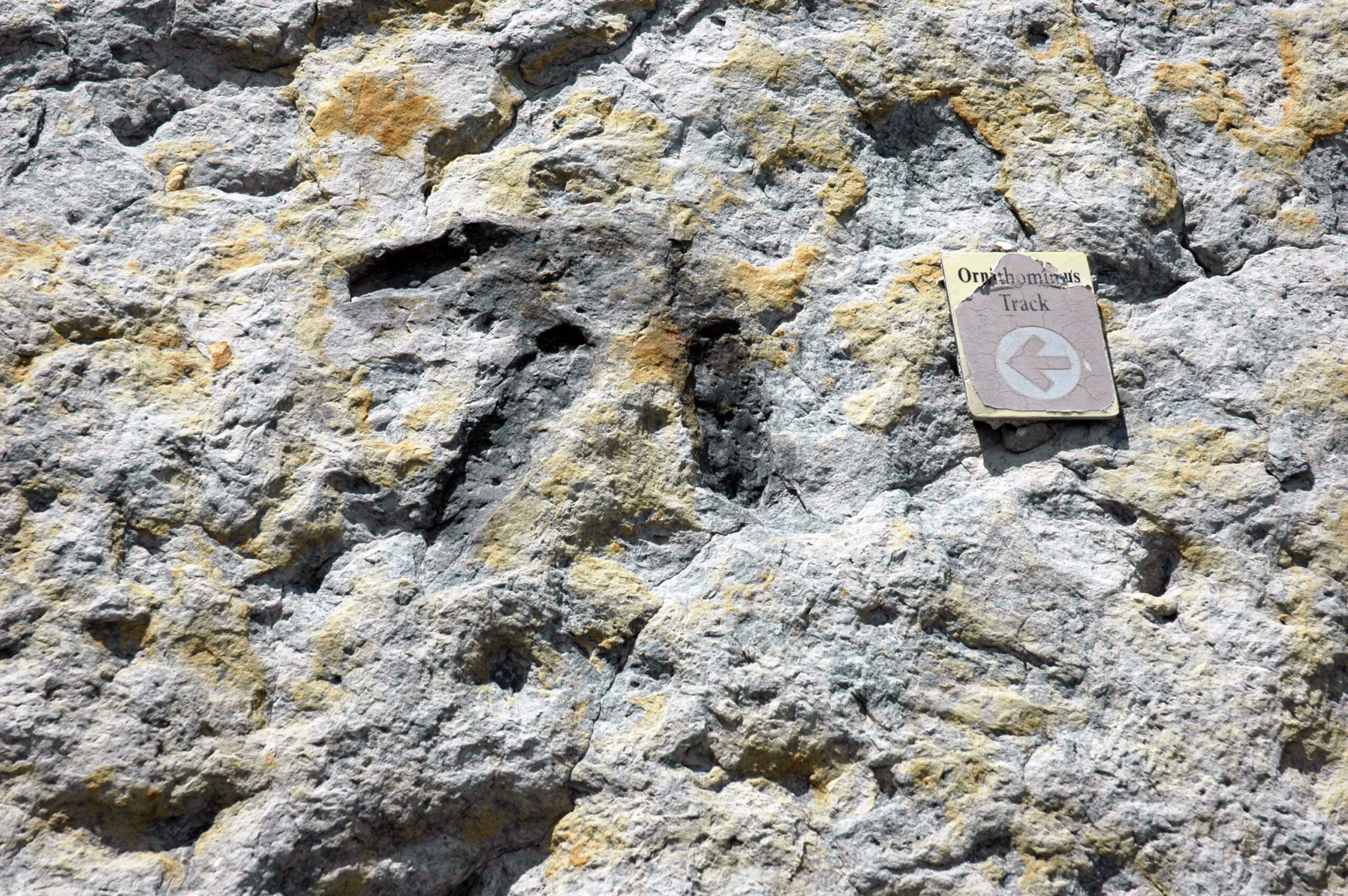 Colorado: Dinosaur Ridge (Image Credits: Wikimedia)