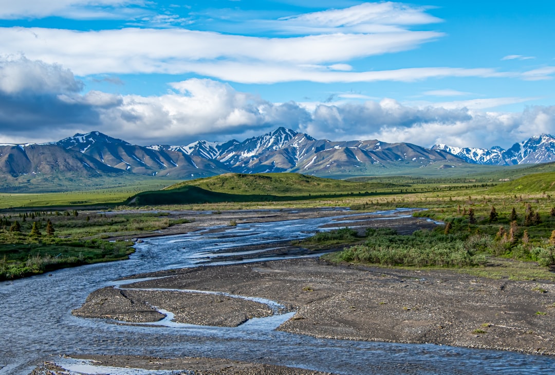 Alaska: Denali National Park and Preserve (Image Credits: Unsplash)