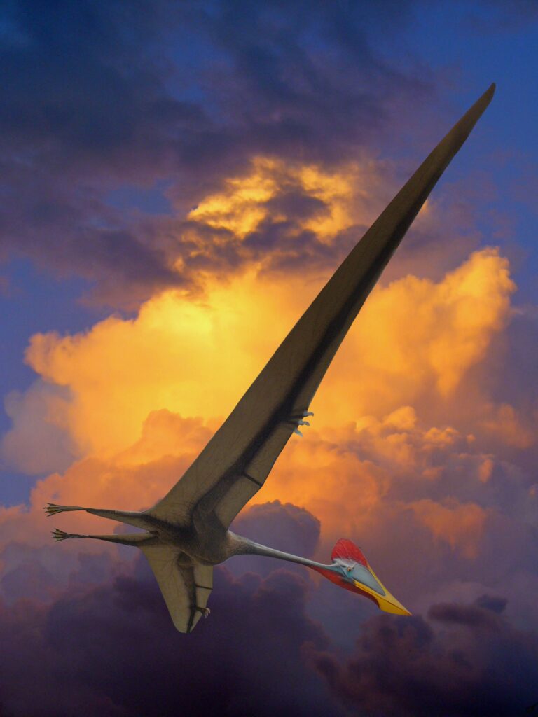 Quetzalcoatlus: The Flying Giant With a Wingspan Wider Than a School Bus