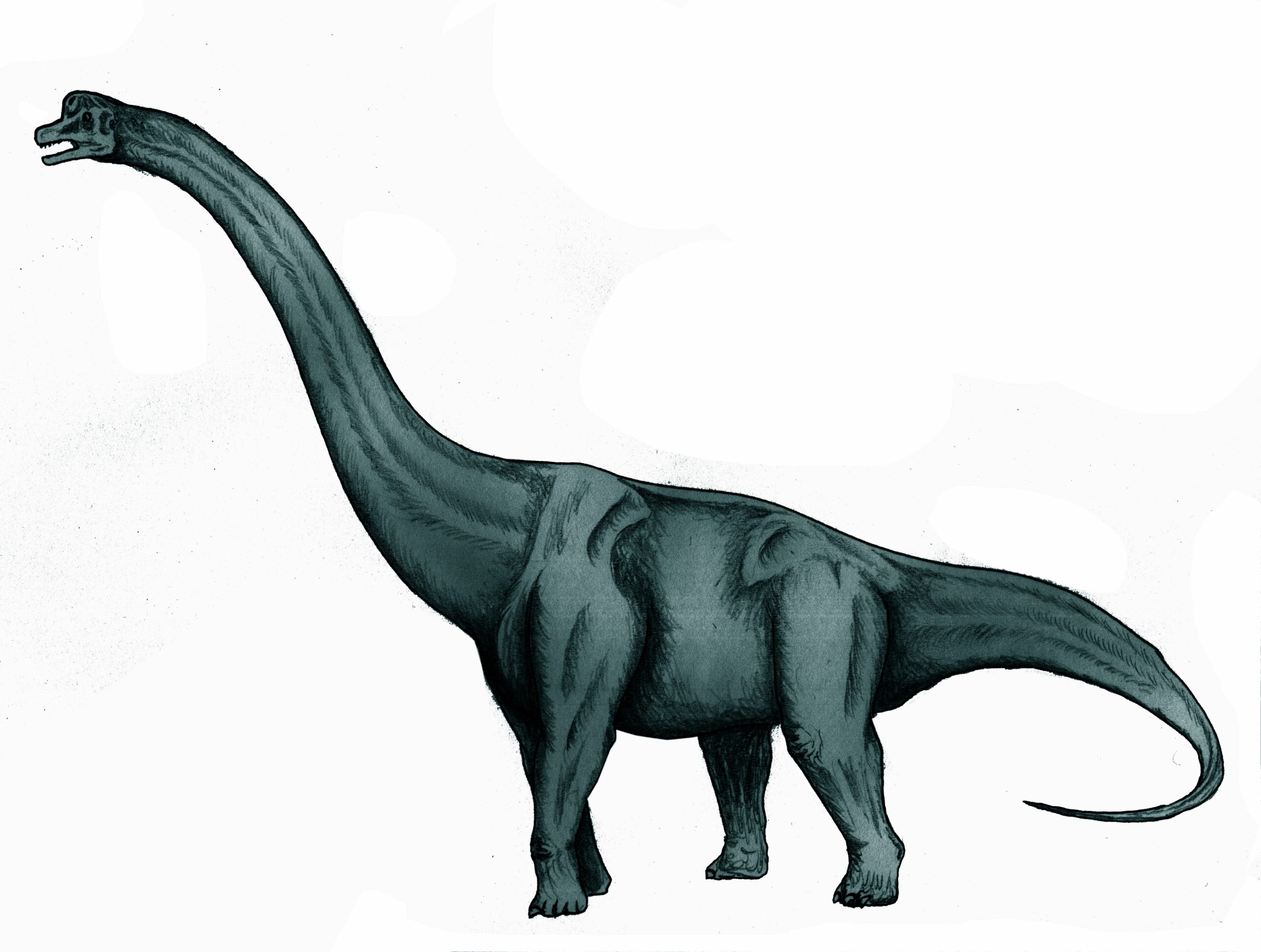 Sauroposeidon: The State Dinosaur That Touched the Sky (Image Credits: Wikimedia)