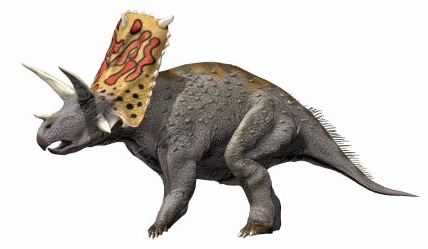 Bravoceratops: The Horned Behemoth Exclusive to Big Bend (Image Credits: Wikimedia)