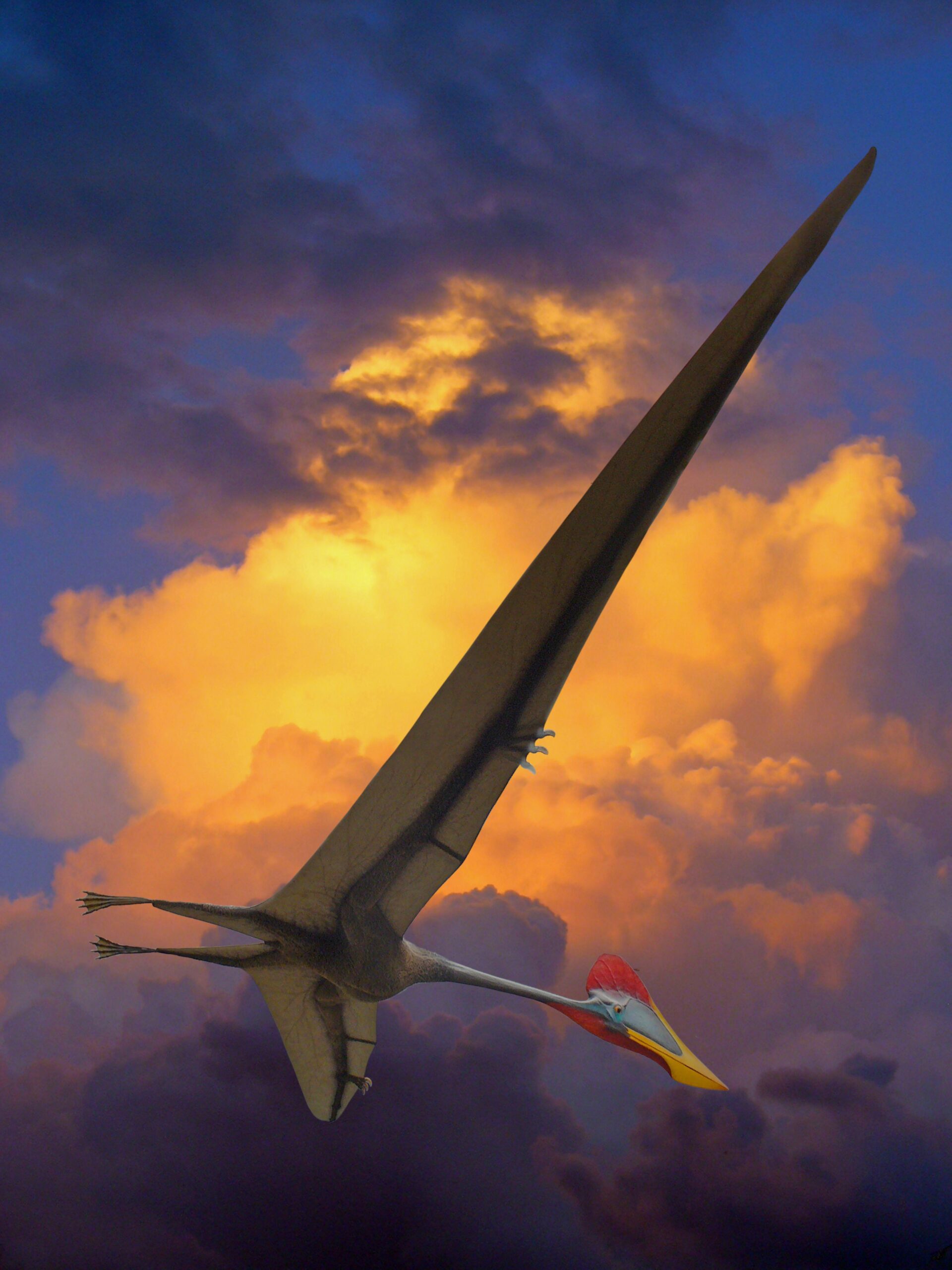 Quetzalcoatlus: The Flying Giant With a Wingspan Wider Than a School Bus (Image Credits: Wikimedia)