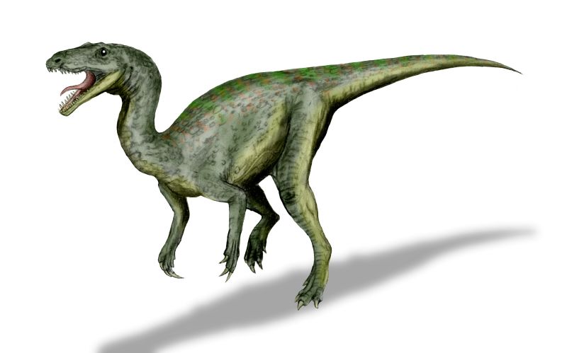 Gojirasaurus - The Monster Movie Legend (Image Credits: Wikimedia)