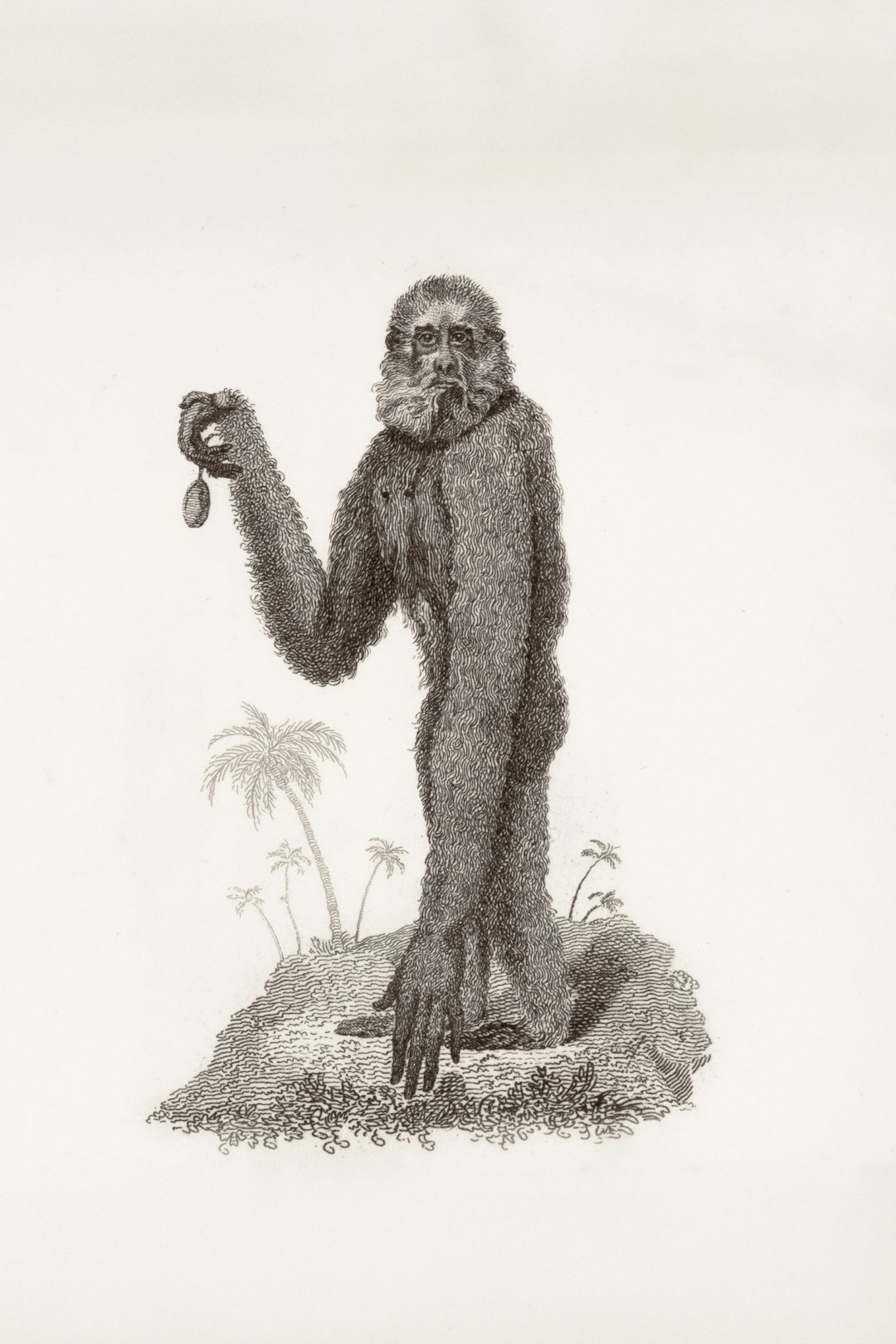 Matthew Berger's Ancient Human Ancestor Find (Image Credits: Unsplash)