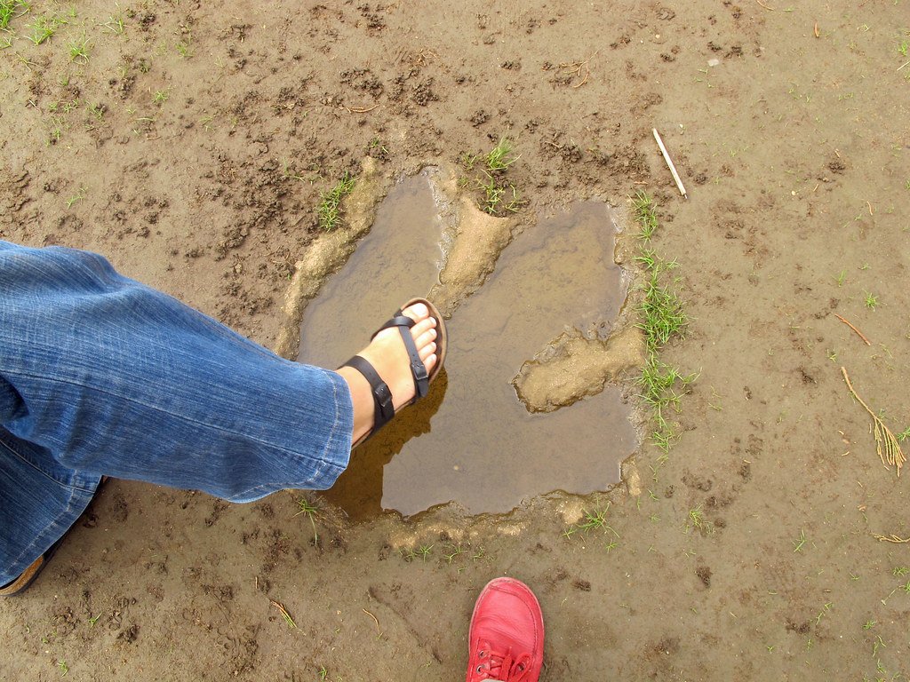 Lily Wilder's Perfectly Preserved Dinosaur Footprint (Image Credits: Flickr)