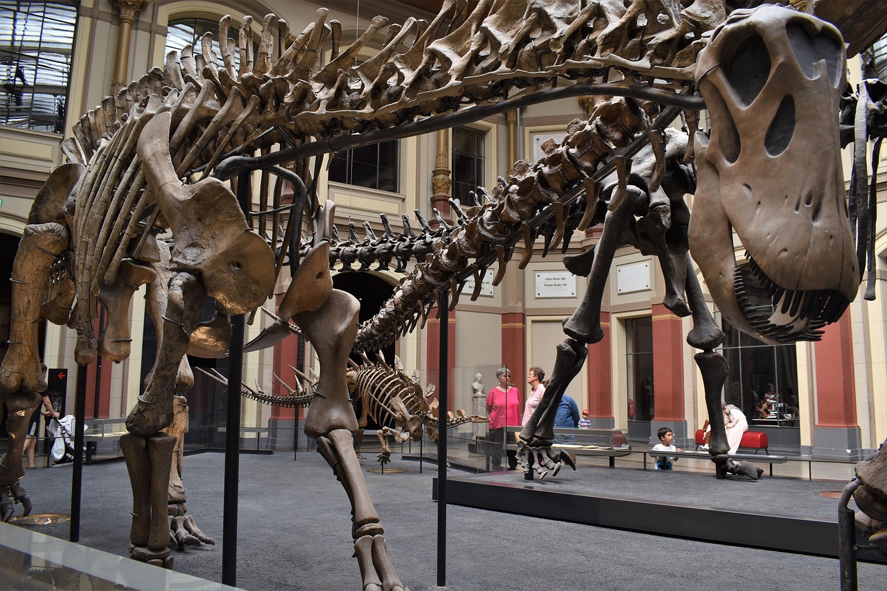 The French Titanosaur: An Ordinary Dog Walk Turns Extraordinary (Image Credits: Pixabay)