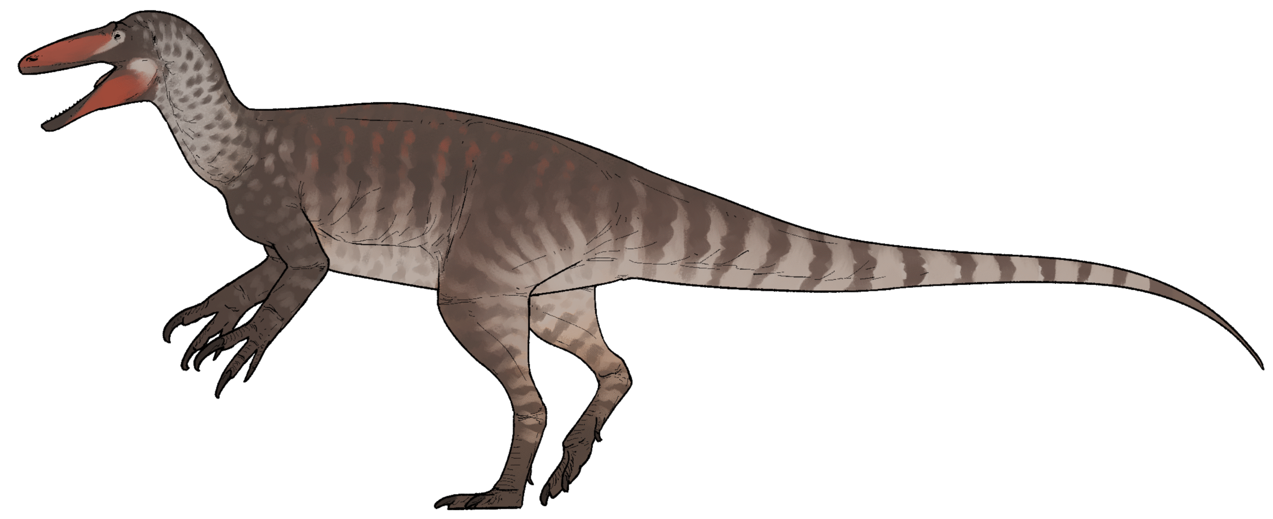 Joaquinraptor: The Dinosaur with Its Last Meal (Image Credits: Wikimedia)