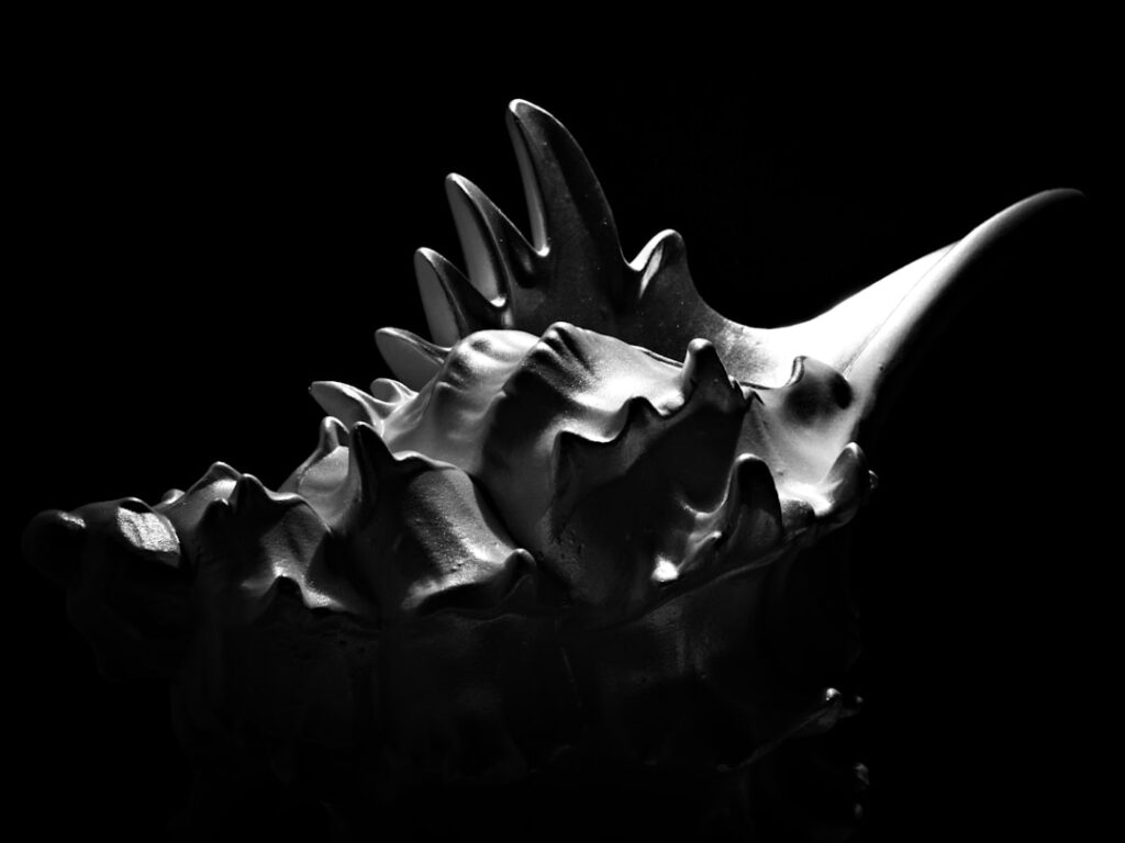 Spicomellus - The Spike Collar