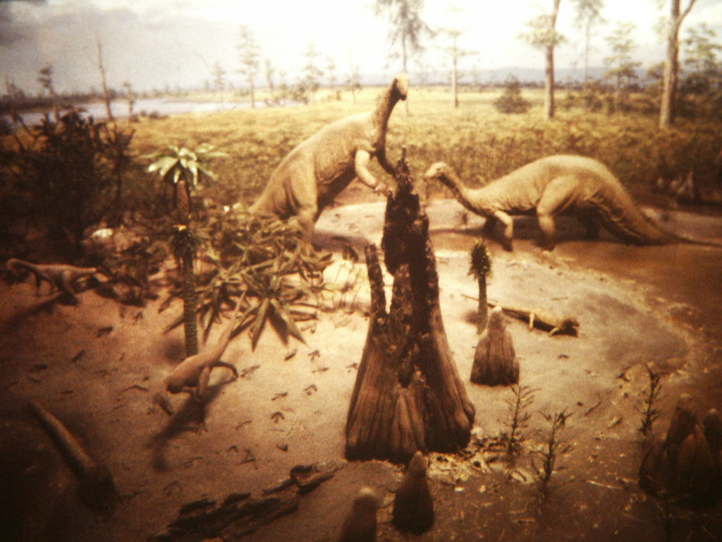 Racing Against Death (Image Credits: Flickr)