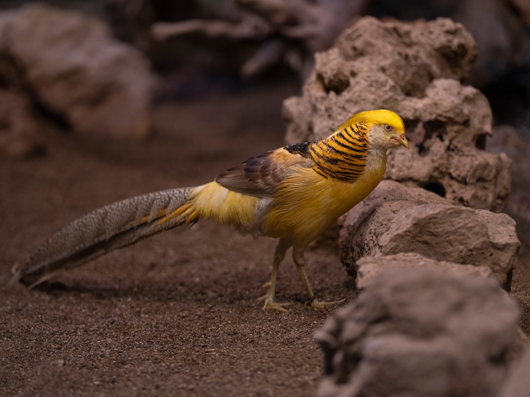 The Future of Genetic Archaeology (Image Credits: Unsplash)