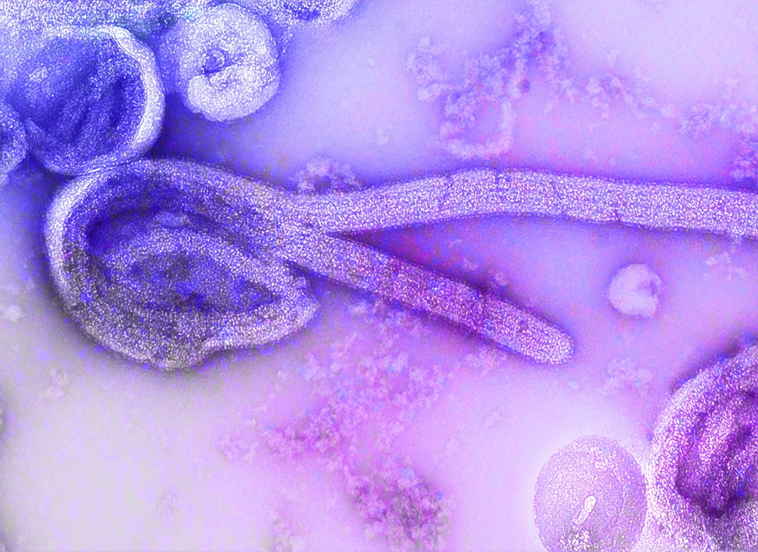 Disease and Pathogen Threats (Image Credits: Unsplash)