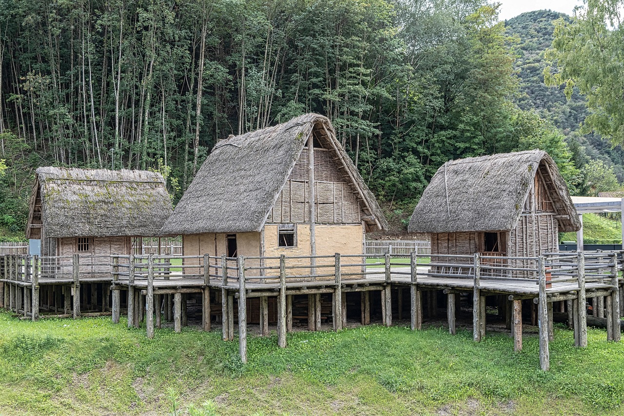 Shelter and Protection Challenges (Image Credits: Pixabay)