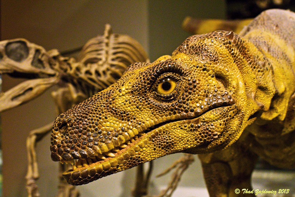 Chemical Analysis Reveals the Truth (Image Credits: Flickr)