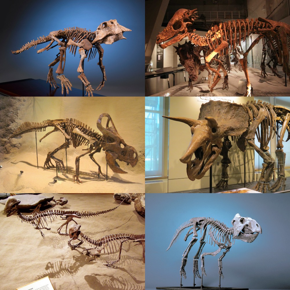 Morocco's Ancient Treasures (Image Credits: Wikimedia)