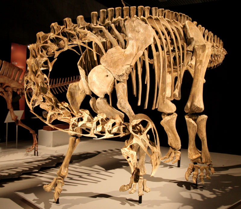 The Ultimate Grazing Machine (Image Credits: Wikimedia)