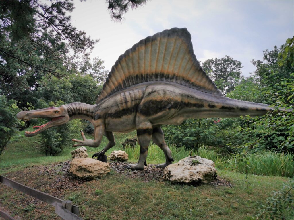 The Dinosaur With a Sail on Its Back