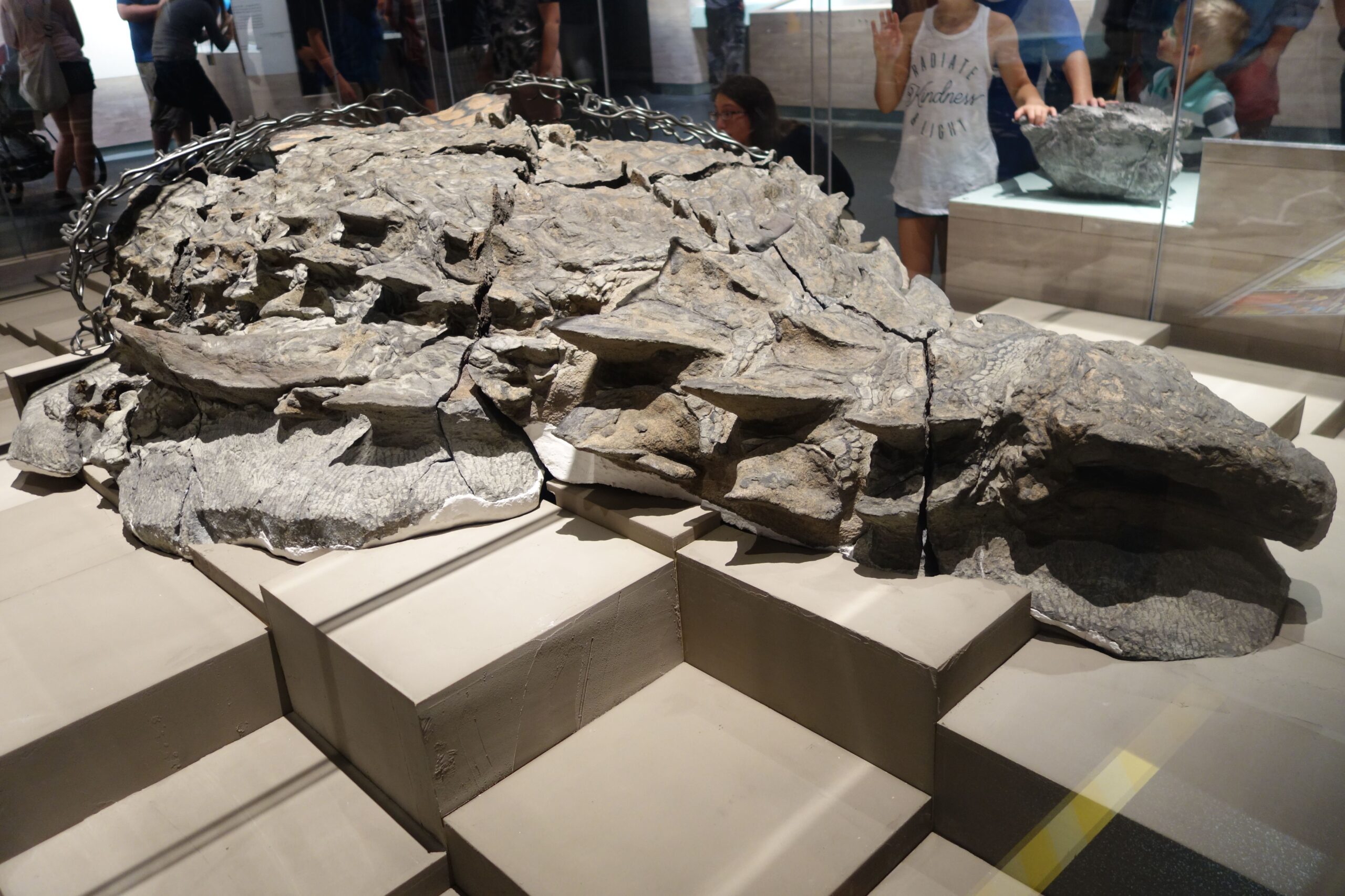 The Armored Giant That Still Needed to Hide (Image Credits: Wikimedia)