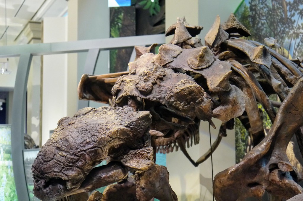 Conclusion: Nature's Most Outrageous Experiment (Image Credits: Flickr)