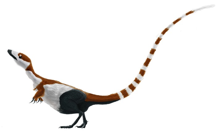 Sinosauropteryx - The First Feathered Dinosaur Revelation (Image Credits: Wikimedia)