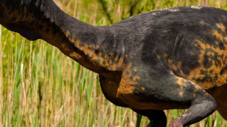 8 Dinosaurs That Changed Our View of Evolution