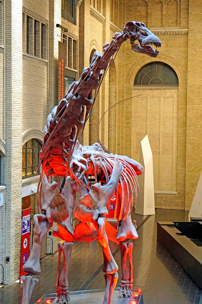 Life in Ancient China (Image Credits: Flickr)