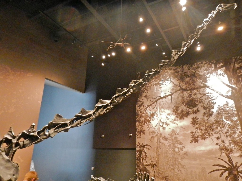 Scientific Impact and Discovery (Image Credits: Flickr)