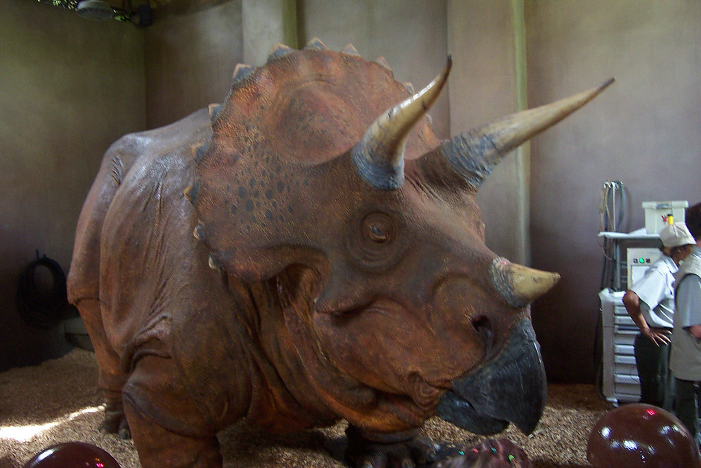 Triceratops: The Three-Horned Fortress (Image Credits: Flickr)