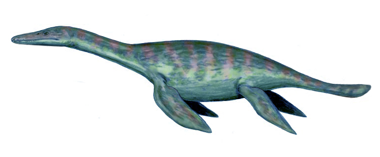 Liopleurodon: The Jurassic Sea Monster (Image Credits: Wikimedia)