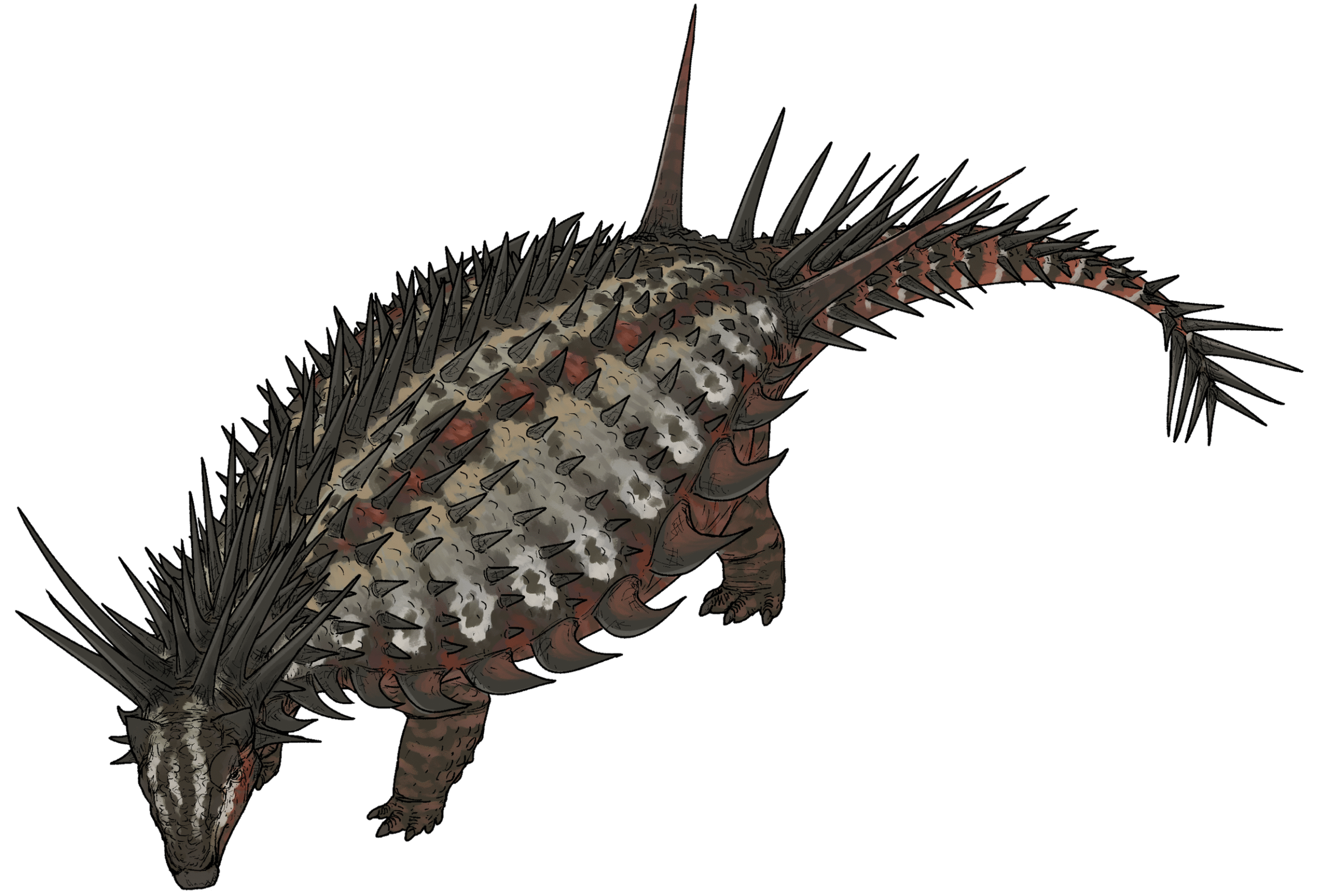 Morocco's Punk Rock Dinosaur With Meter-Long Spikes (Image Credits: Wikimedia)