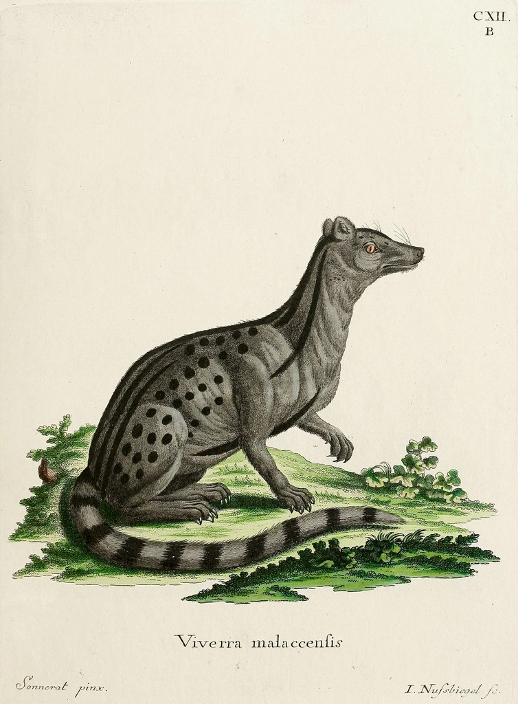 8 Recent Dinosaur Discoveries You Should Know