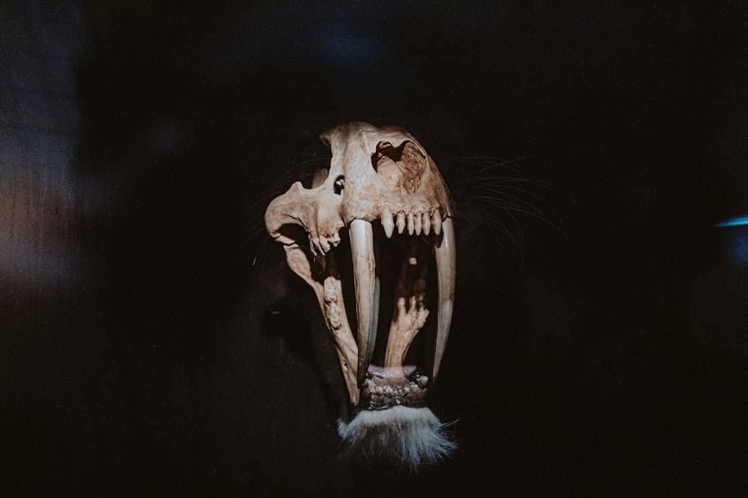 Why Modern Lions Would Flee in Terror (Image Credits: Unsplash)