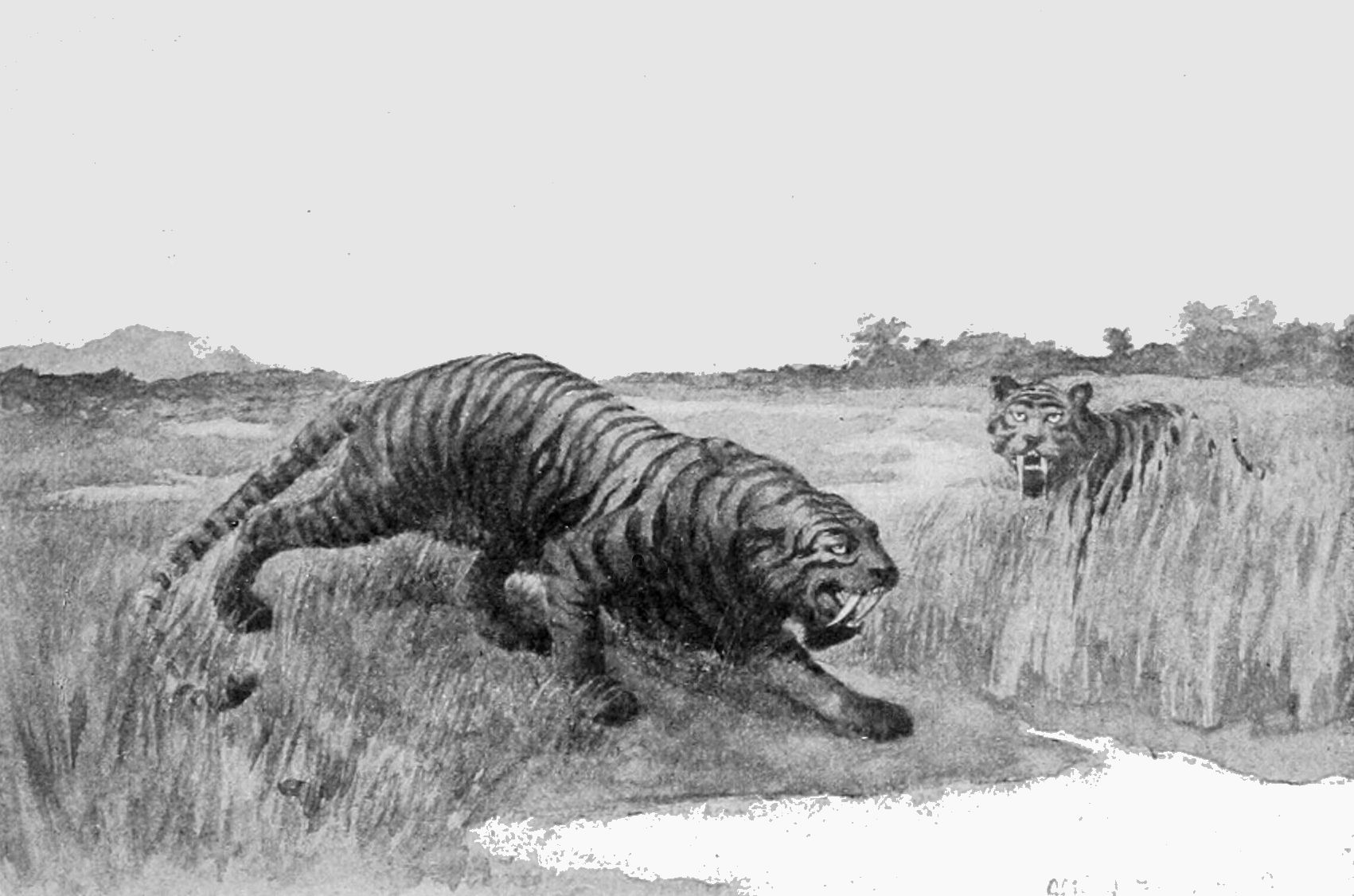 The Extinction That Changed Everything (Image Credits: Wikimedia)
