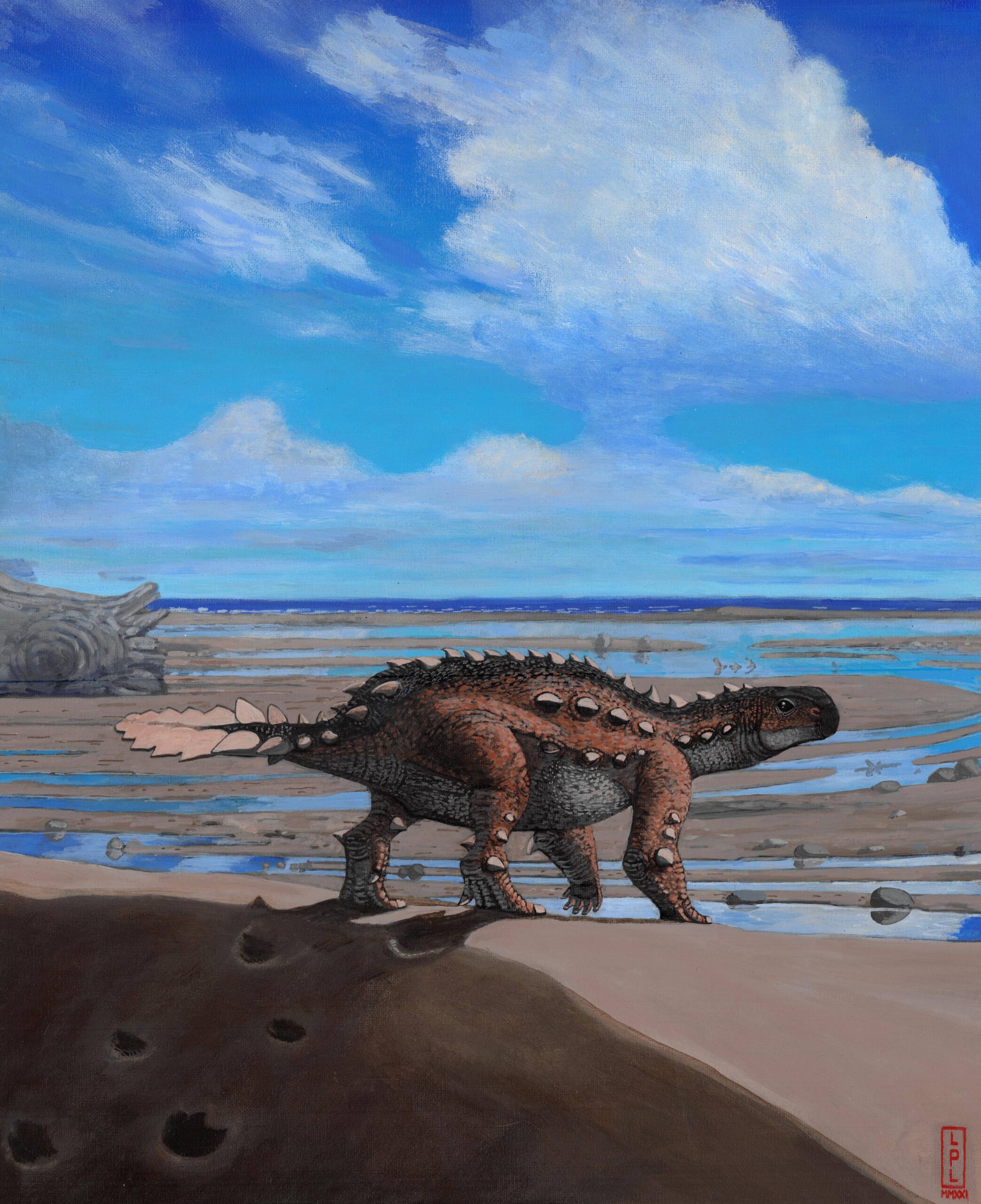 Stegouros Elengassen: The Aztec War Club (Image Credits: Wikimedia)