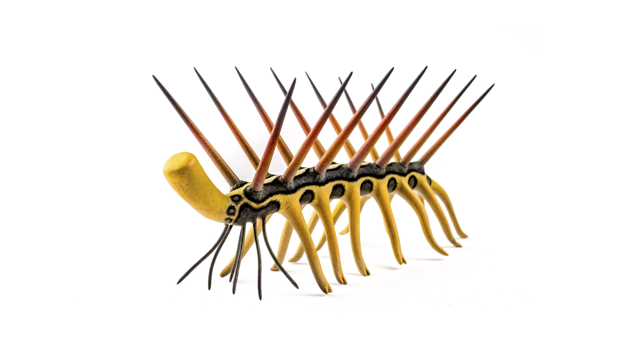 Hallucigenia: The Upside-Down Nightmare (Image Credits: Wikimedia)