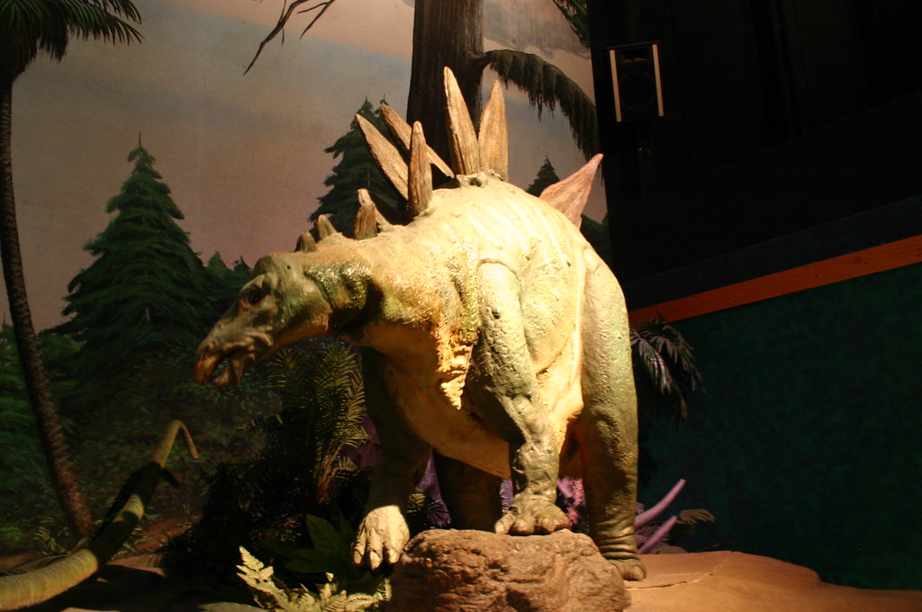 Stegosaurus - The Spiked Warrior (Image Credits: Flickr)