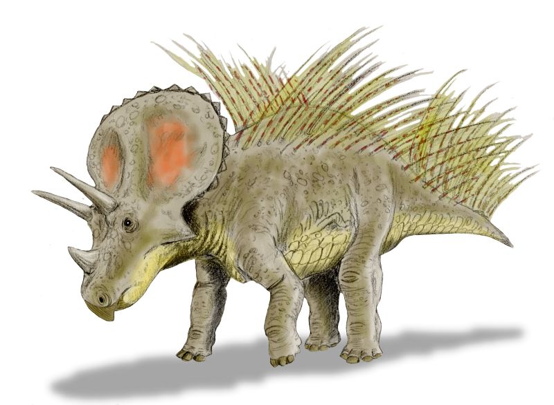 Triceratops - The Horned Gladiator (Image Credits: Wikimedia)